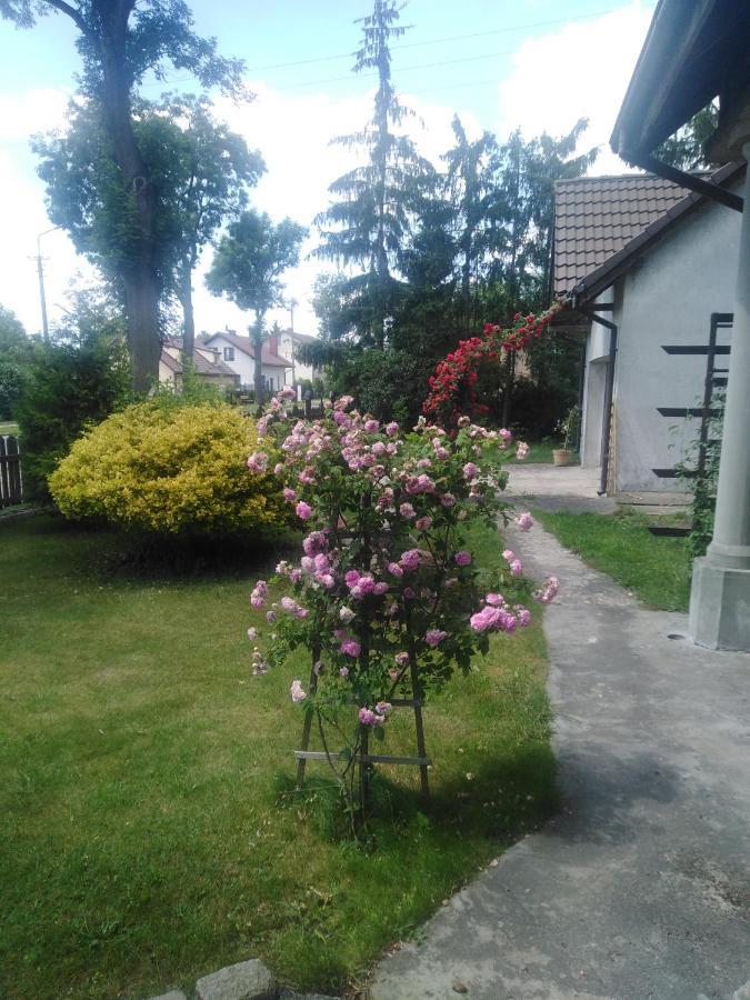 Piernikowy Dworek Lubicz Exterior foto